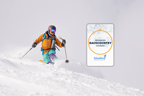 Picture for category Advanced Courses