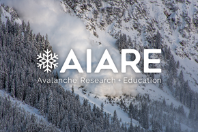 Picture for category Avalanche Courses